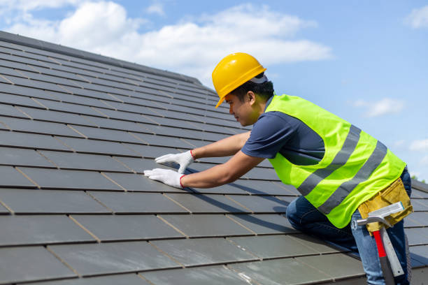Best Roof Gutter Cleaning  in South Paris, ME
